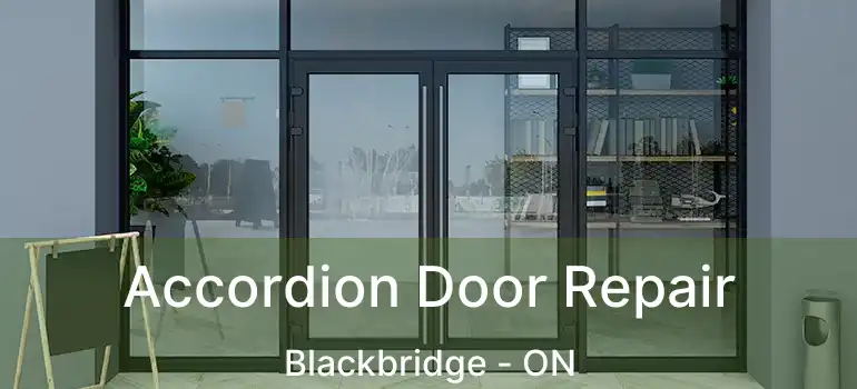  Accordion Door Repair Blackbridge - ON