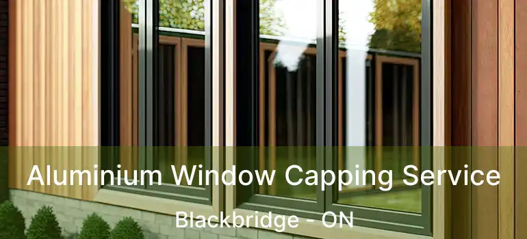  Aluminium Window Capping Service Blackbridge - ON