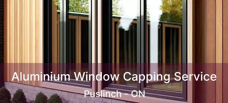  Aluminium Window Capping Service Puslinch - ON