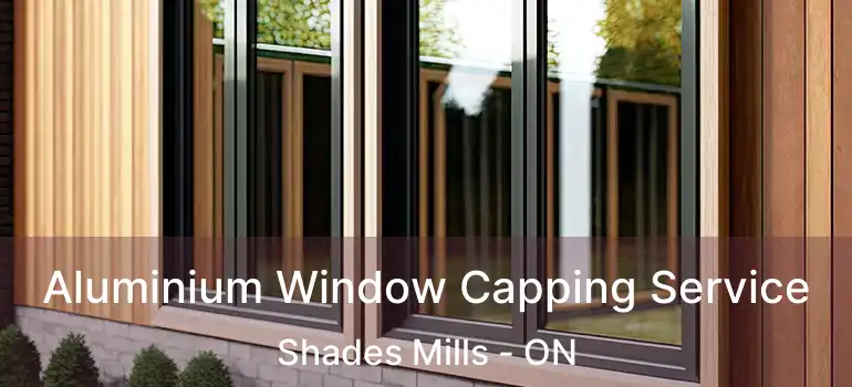  Aluminium Window Capping Service Shades Mills - ON