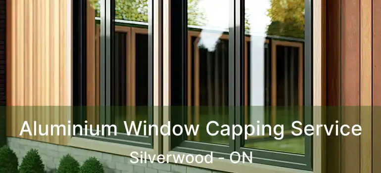  Aluminium Window Capping Service Silverwood - ON