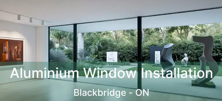  Aluminium Window Installation Blackbridge - ON