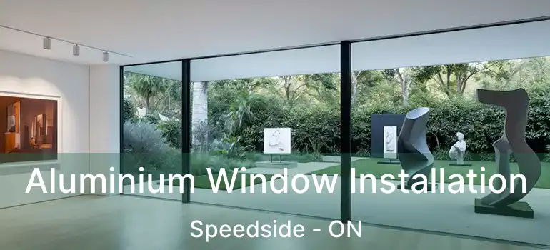  Aluminium Window Installation Speedside - ON