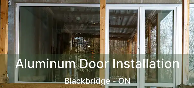  Aluminum Door Installation Blackbridge - ON