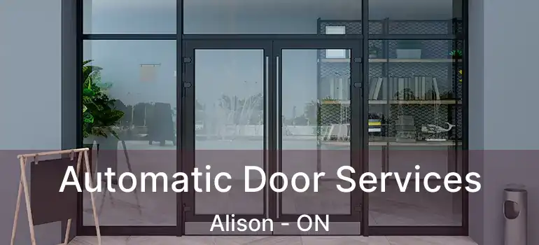  Automatic Door Services Alison - ON