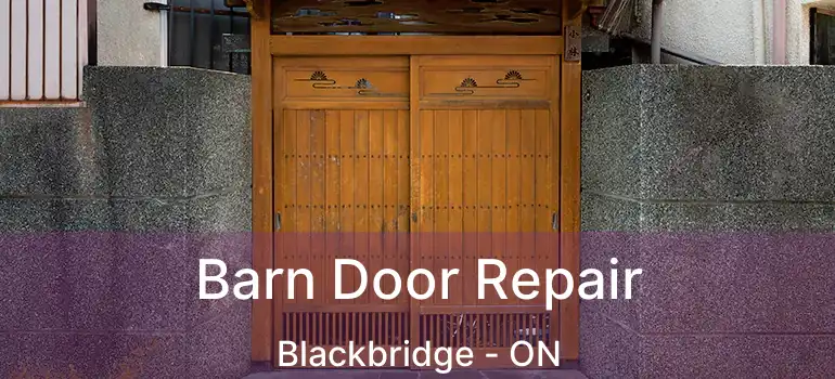  Barn Door Repair Blackbridge - ON