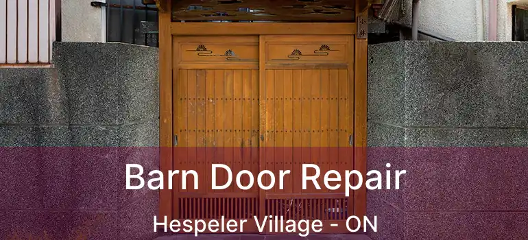  Barn Door Repair Hespeler Village - ON
