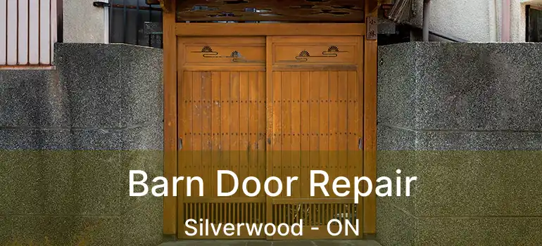 Barn Door Repair Silverwood - ON