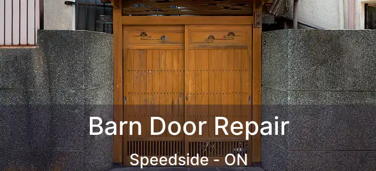  Barn Door Repair Speedside - ON