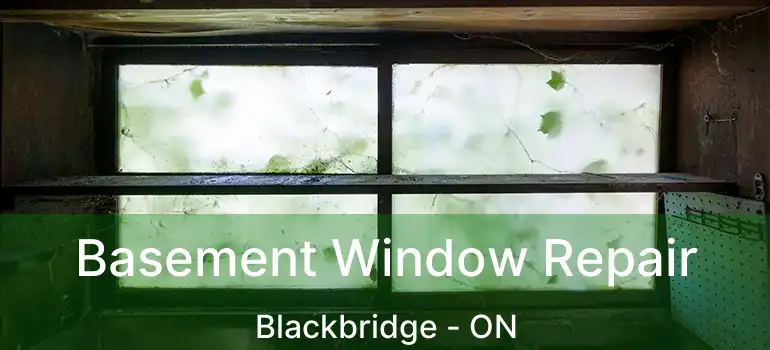  Basement Window Repair Blackbridge - ON