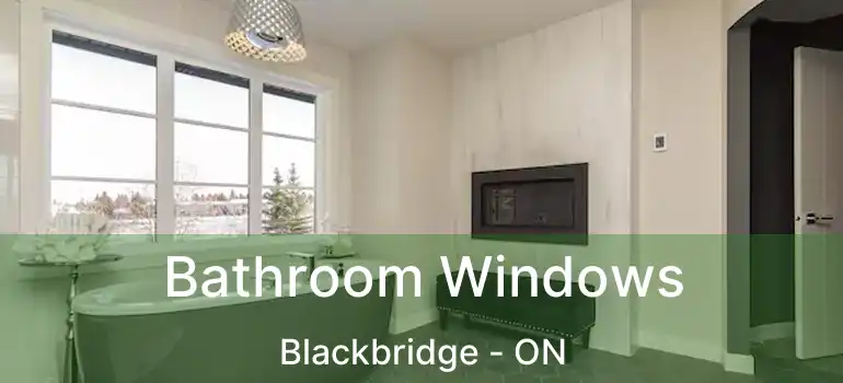  Bathroom Windows Blackbridge - ON