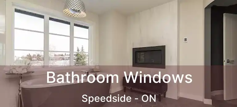  Bathroom Windows Speedside - ON