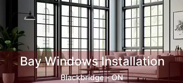  Bay Windows Installation Blackbridge - ON
