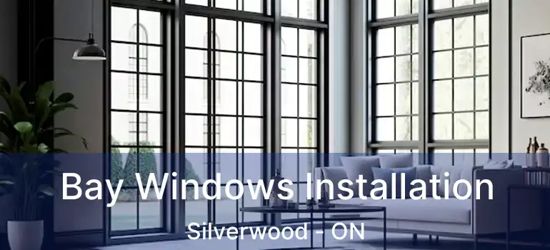  Bay Windows Installation Silverwood - ON