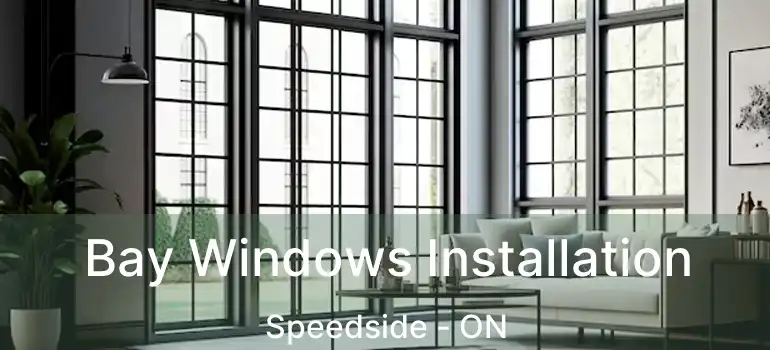  Bay Windows Installation Speedside - ON