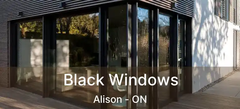  Black Windows Alison - ON