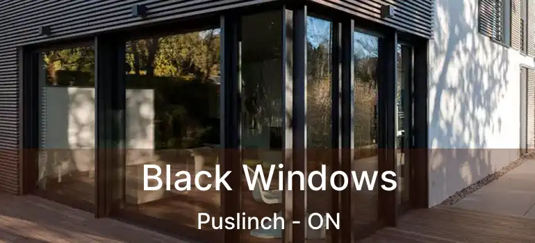  Black Windows Puslinch - ON