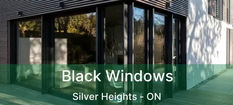  Black Windows Silver Heights - ON