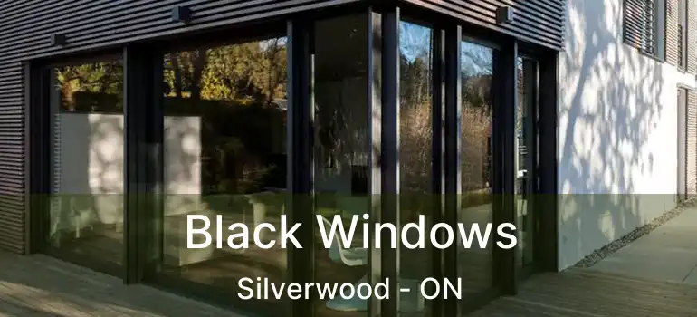  Black Windows Silverwood - ON