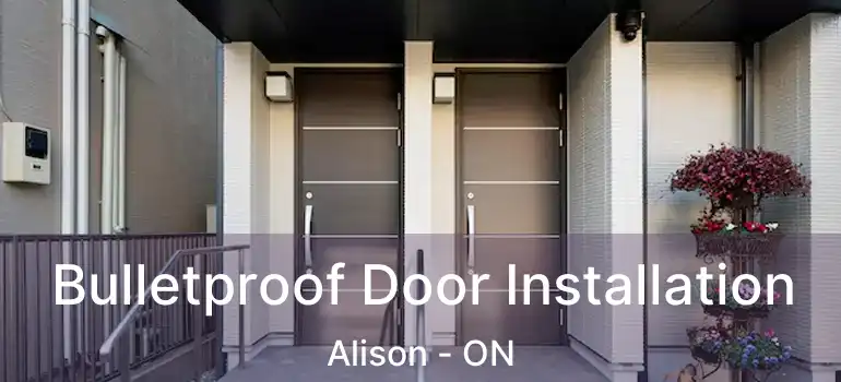  Bulletproof Door Installation Alison - ON