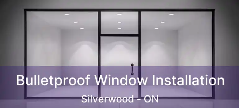  Bulletproof Window Installation Silverwood - ON