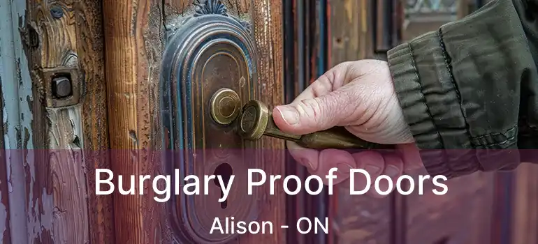  Burglary Proof Doors Alison - ON