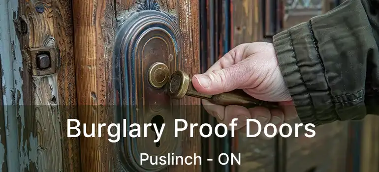  Burglary Proof Doors Puslinch - ON
