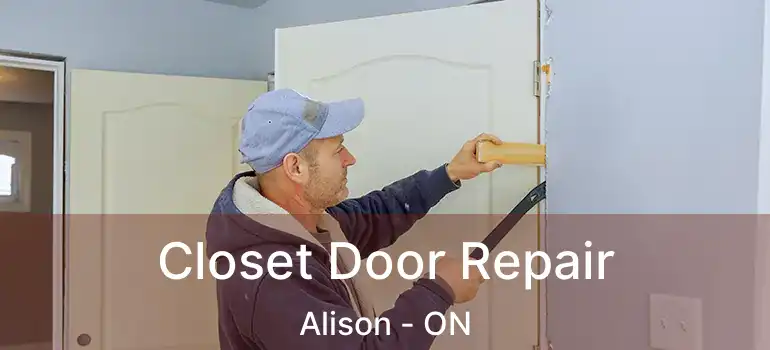 Closet Door Repair Alison - ON