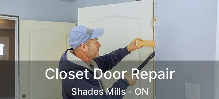  Closet Door Repair Shades Mills - ON