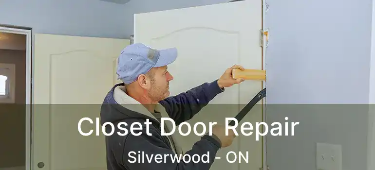  Closet Door Repair Silverwood - ON