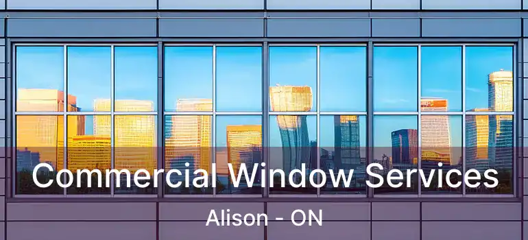  Commercial Window Services Alison - ON