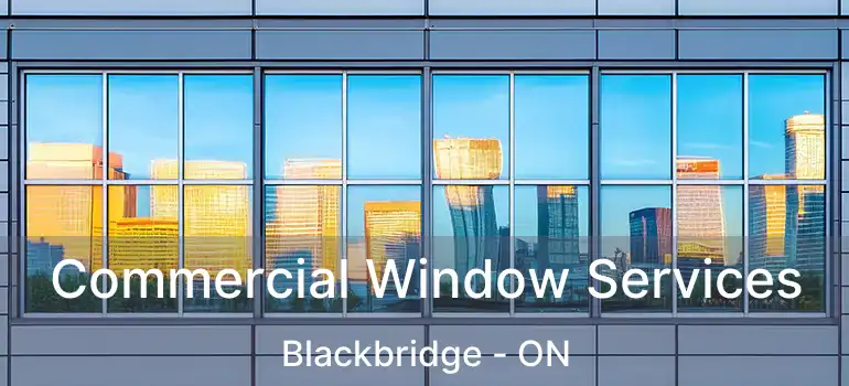 Commercial Window Services Blackbridge - ON