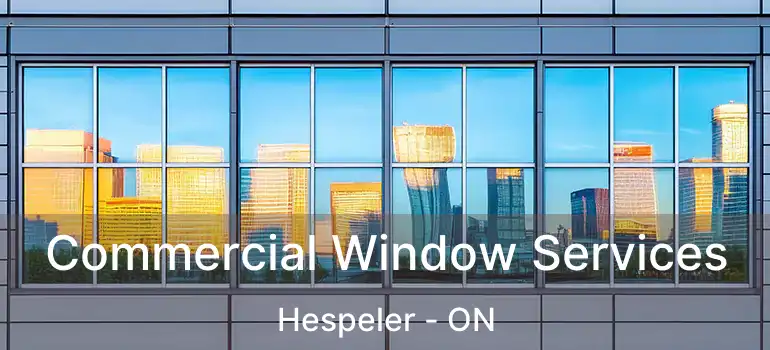  Commercial Window Services Hespeler - ON