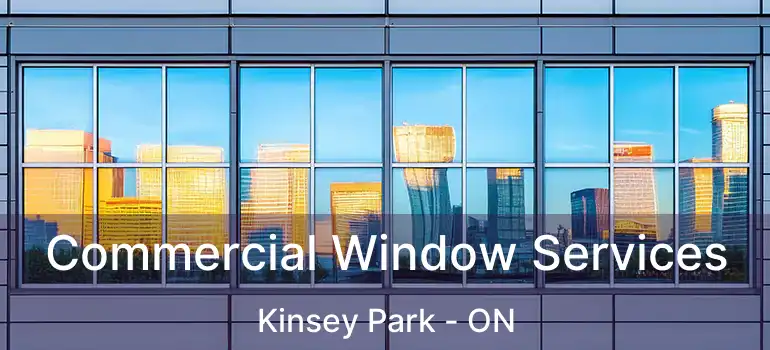  Commercial Window Services Kinsey Park - ON
