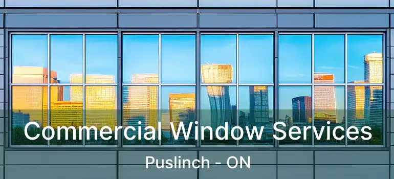  Commercial Window Services Puslinch - ON