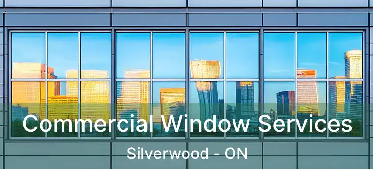  Commercial Window Services Silverwood - ON