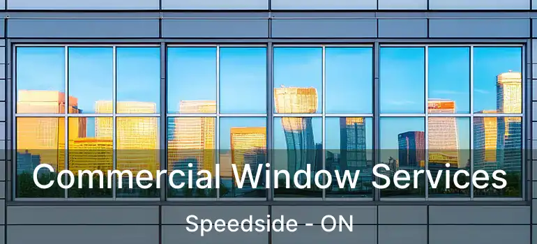  Commercial Window Services Speedside - ON
