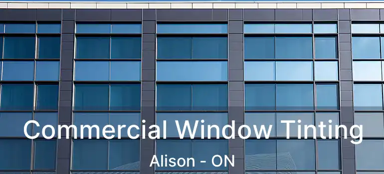  Commercial Window Tinting Alison - ON
