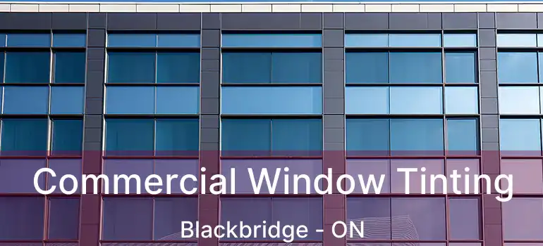  Commercial Window Tinting Blackbridge - ON
