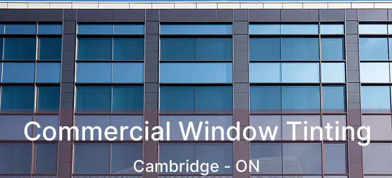 Commercial Window Tinting Cambridge - ON