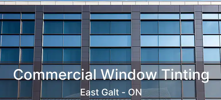  Commercial Window Tinting East Galt - ON