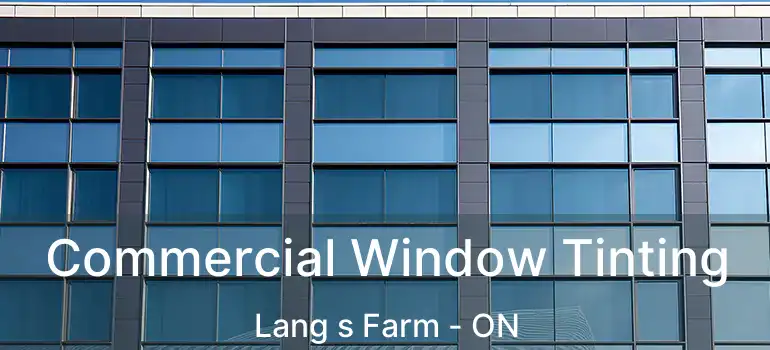  Commercial Window Tinting Lang s Farm - ON