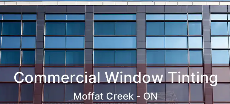  Commercial Window Tinting Moffat Creek - ON