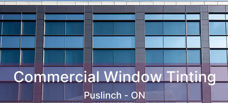  Commercial Window Tinting Puslinch - ON
