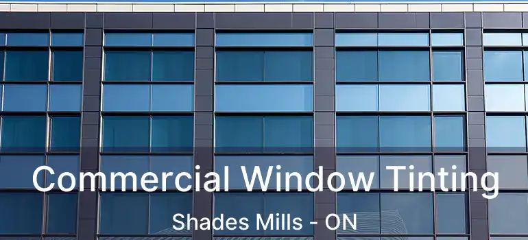  Commercial Window Tinting Shades Mills - ON