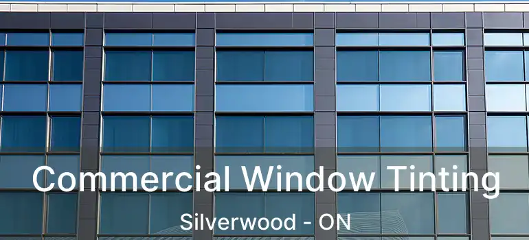  Commercial Window Tinting Silverwood - ON