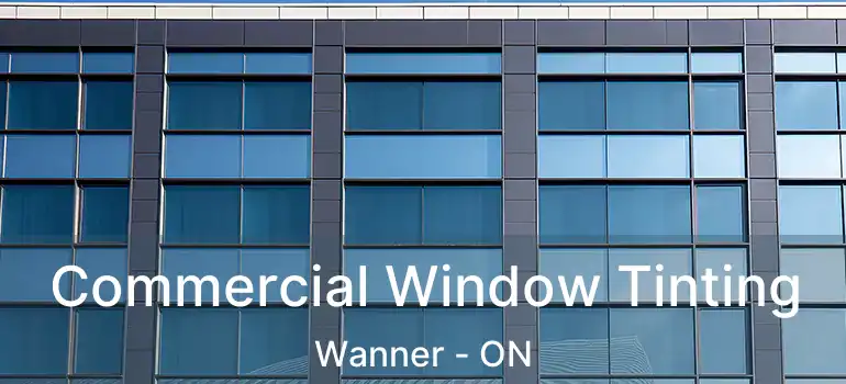  Commercial Window Tinting Wanner - ON