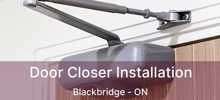  Door Closer Installation Blackbridge - ON