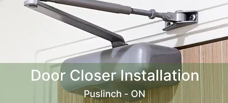 Door Closer Installation Puslinch - ON