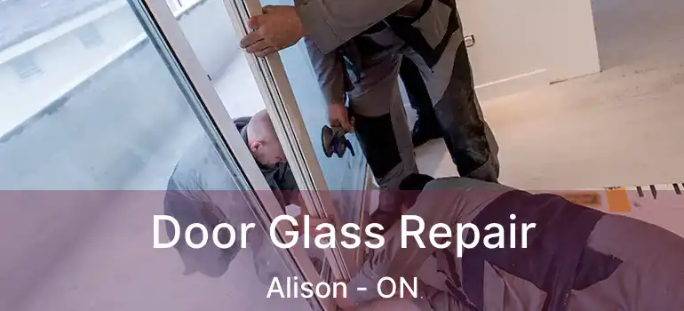  Door Glass Repair Alison - ON